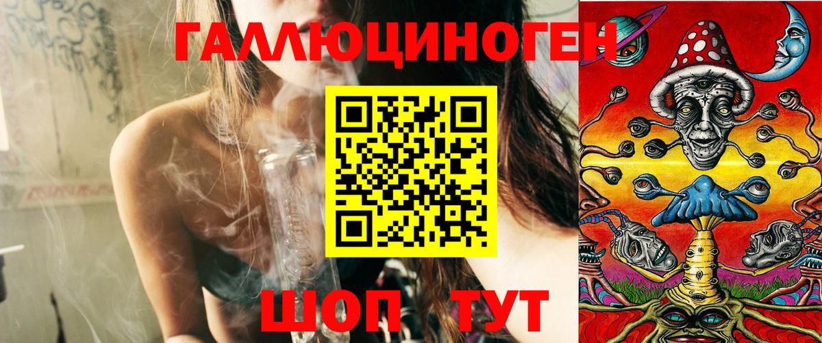 Галлюциногенные грибы Cubensis Курган