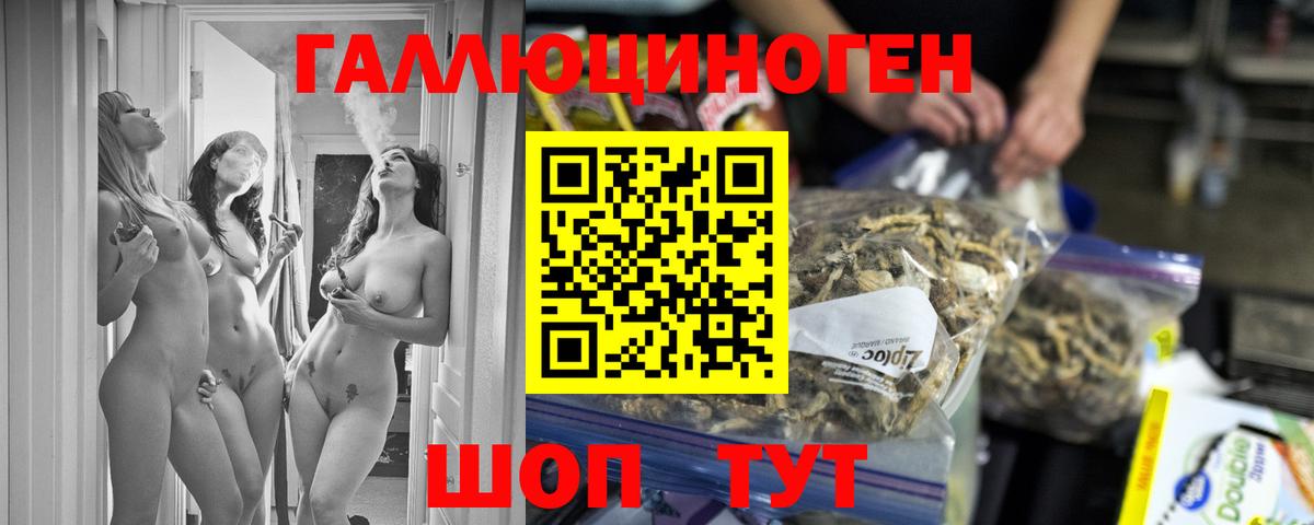 Псилоцибиновые грибы GOLDEN TEACHER  наркота  Вход с VPN  Курган  Псилоцибиновые грибы мухоморы 